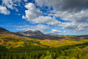 Blackfeet Nation Carbon Project